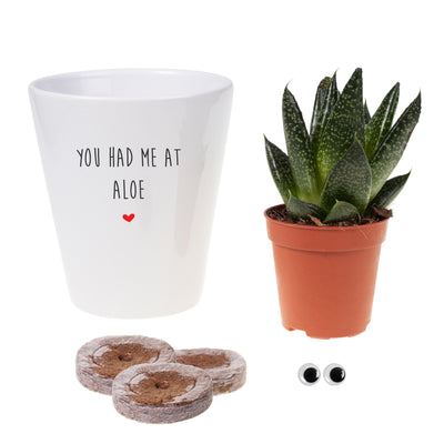 You Had Me At Aloe Funny Planter, Plant and Repotting kit | Houseplant Gift