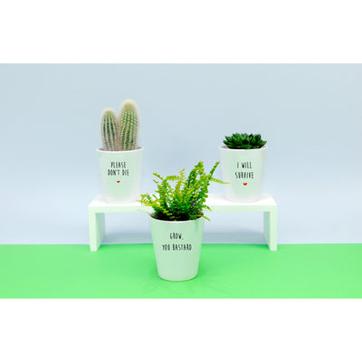 Plant Killer Set | Funny Planter, Plant and Repotting Kit