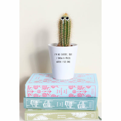 I'm No Expert But I Know A Prick When I See One Cactus | Funny Planter, Plant and Repotting Kit