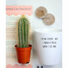 I'm No Expert But I Know A Prick When I See One Cactus | Funny Planter, Plant and Repotting Kit