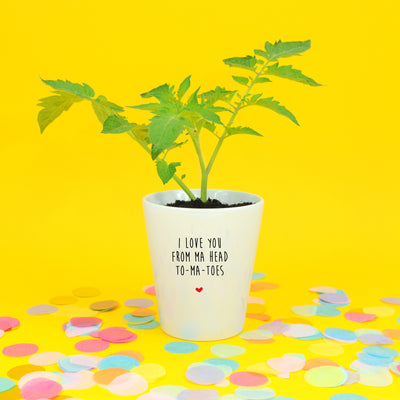 I Love You From Ma Head To-Ma-Toes | Punny Planter & Seeds Kit