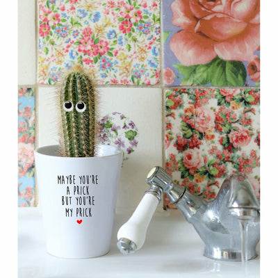 Maybe You're A Prick But You're My Prick | Funny Planter, Plant and Repotting Kit
