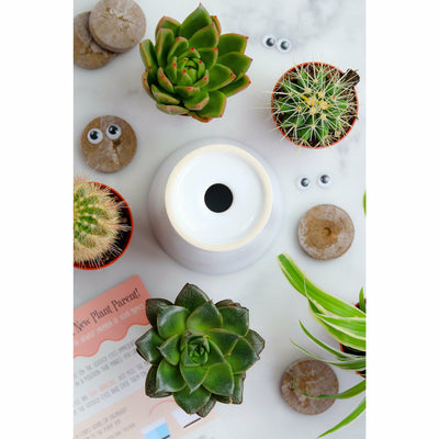 My Life Would Succ Without You | Funny Planter, Plant and Repotting Kit