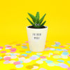 I've Soiled Myself | Funny Planter, Plant and Repotting Kit