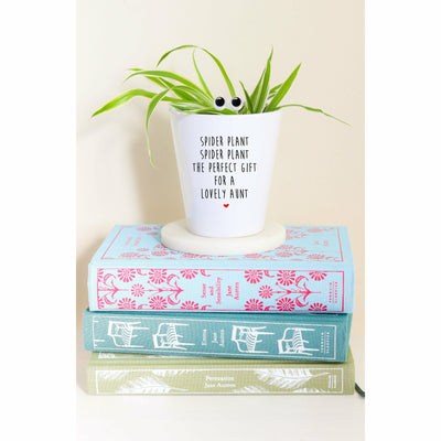 Spider Plant Lovely Aunt | Cute Planter, Plant and Repotting Kit