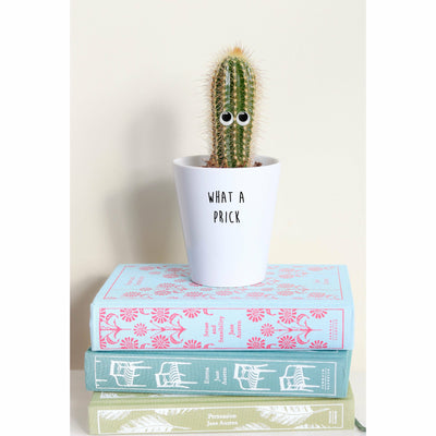 What A Prick | Funny Planter, Plant and Repotting Kit