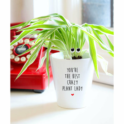 You're The Best Crazy Plant Lady | Funny Planter, Plant and Repotting Kit