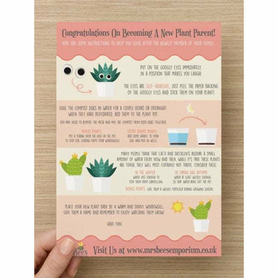 Herbione Granger Punny Planter, Plant and Repotting Kit