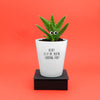 Aloe Is It Me You're Looking For? Funny Planter, Plant and Repotting kit | Houseplant Gift
