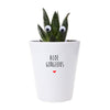 Aloe Gorgeous Funny Planter, Plant and Repotting kit | Houseplant Gift