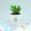Aloe Guvnor Funny Planter, Plant and Repotting Kit | Houseplant Gift