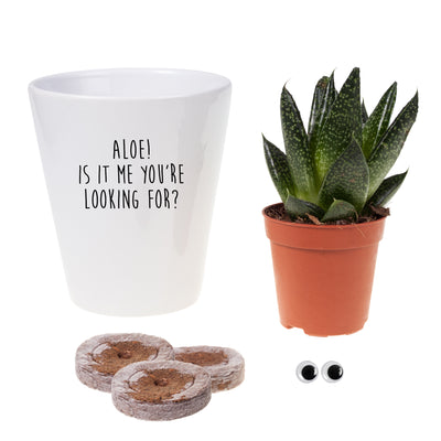 Aloe Is It Me You're Looking For? Funny Planter, Plant and Repotting kit | Houseplant Gift