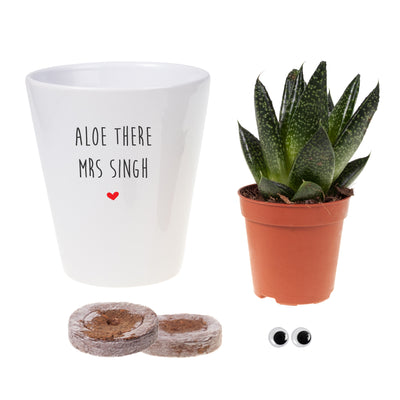 Teacher Desk Aloe Pun Planter | Personalised Punny Planter, Plant and Repotting Kit