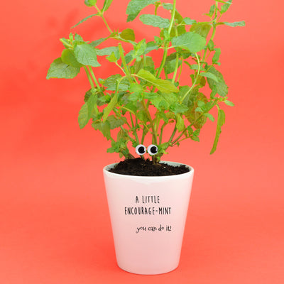 Encourage-Mint Punny Planter & Seeds Growing Kit