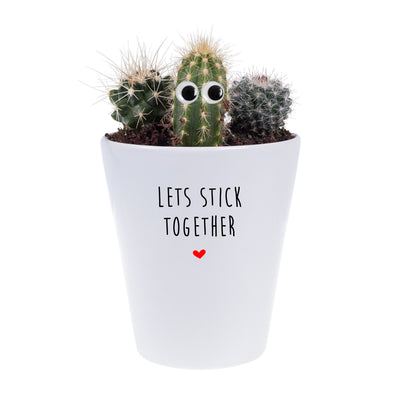 Lets Stick Together | Funny Planter, Plant and Repotting Kit