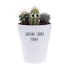 Looking Sharp Today | Funny Planter, Plant and Repotting Kit