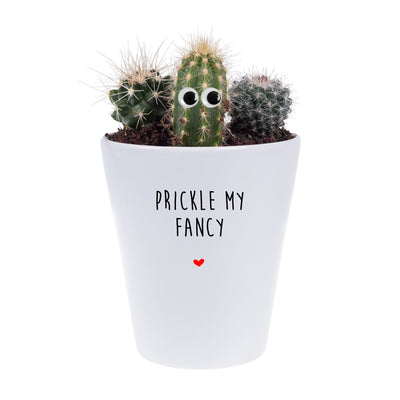 Prickle My Fancy | Funny Planter, Plant and Repotting Kit