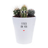Stuck On You | Funny Planter, Plant and Repotting Kit