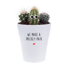 We Make A Prickly Pair | Houseplant & Plant Pot
