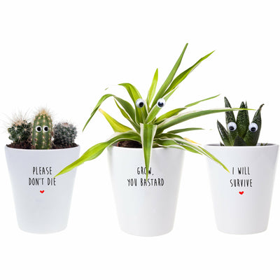 Plant Killer Set | Funny Planter, Plant and Repotting Kit