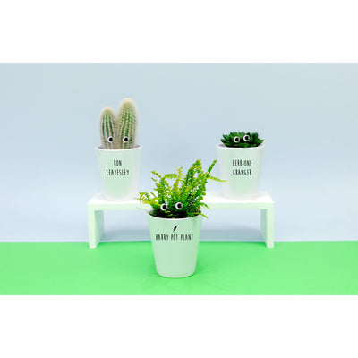 Potter Inspired Plant Trio | Funny Pun Plant Pot
