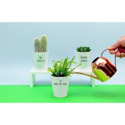 Potter Inspired Plant Trio | Funny Pun Plant Pot