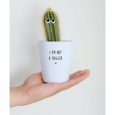 I'm Not A Hugger | Funny Planter, Plant and Repotting Kit