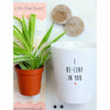I Be-Leaf In You Punny Planter, Plant and Repotting Kit
