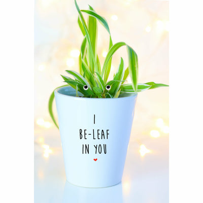 I Be-Leaf In You Punny Planter, Plant and Repotting Kit