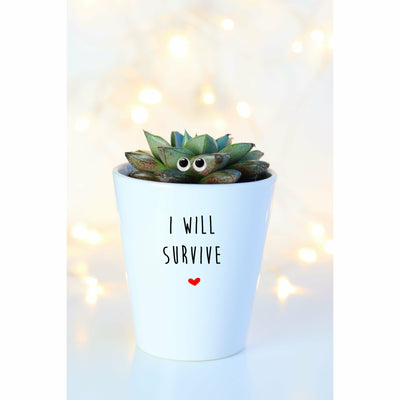I Will Survive Funny | Funny Planter, Plant and Repotting Kit