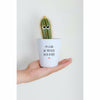 I'm Glad We Pricked Each Other Cactus | Funny Planter, Plant and Repotting Kit