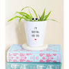 Rooting For You | Cute Planter, Plant and Repotting Kit