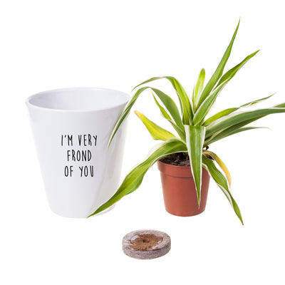 I'm Very Frond Of You | Funny Planter, Plant and Repotting Kit
