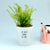 I'm Very Frond Of You | Funny Planter, Plant and Repotting Kit