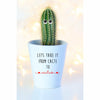 Lets Take It From Cacti To Cactus | Funny Planter, Plant and Repotting Kit