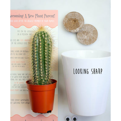 Looking Sharp Today | Funny Planter, Plant and Repotting Kit