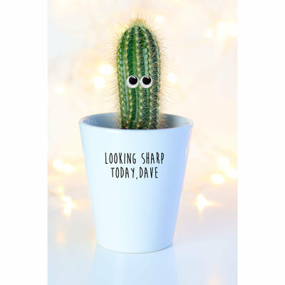 Looking Sharp Today Personalised | Funny Planter, Plant and Repotting Kit