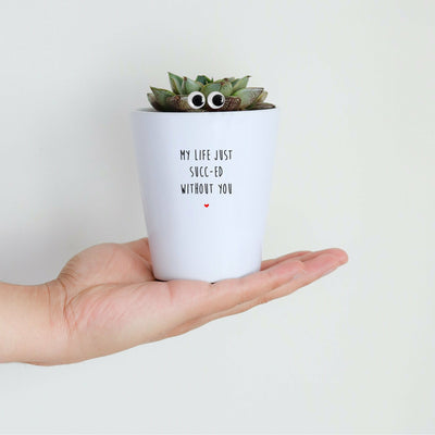 My Life Just Succ-ed Without You | Funny Planter, Plant and Repotting Kit