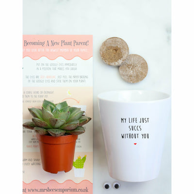 My Life Just Succs Without You | Funny Planter, Plant and Repotting Kit
