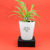 You're A Plant-Tastic Mum | Funny Planter, Plant and Repotting Kit