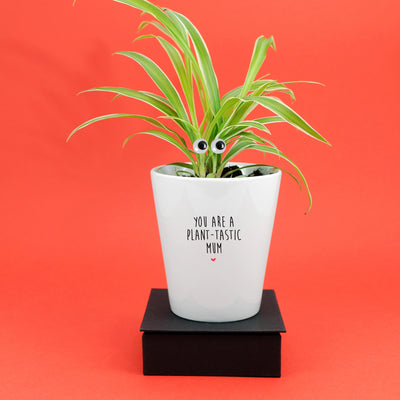 You're A Plant-Tastic Mum | Funny Planter, Plant and Repotting Kit