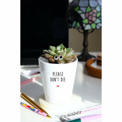 Please Don't Die | Funny Planter, Plant and Repotting Kit