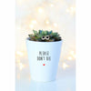 Please Don't Die | Funny Planter, Plant and Repotting Kit