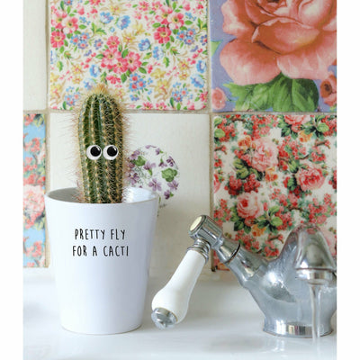 Pretty Fly for a Cacti | Punny Planter, Plant and Repotting Kit