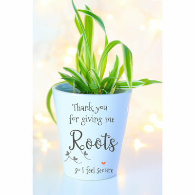 Roots And Wings Plant Pot | Cute Planter, Plant and Repotting Kit