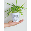 Spider Plant Spider Plant🎵 | Funny Planter, Plant and Repotting Kit