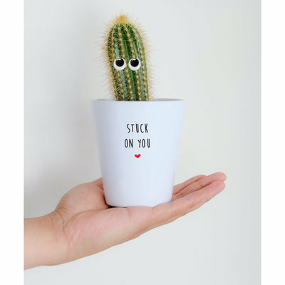 Stuck On You | Funny Planter, Plant and Repotting Kit