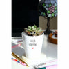 Succa For Puns | Funny Planter, Plant and Repotting Kit
