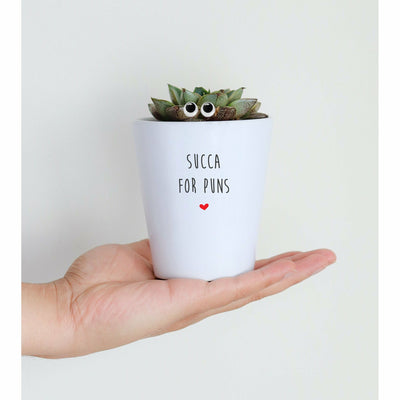 Succa For Puns | Funny Planter, Plant and Repotting Kit