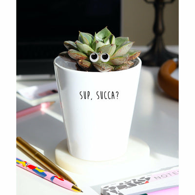 Sup Succa Funny Pun | Funny Planter, Plant and Repotting Kit